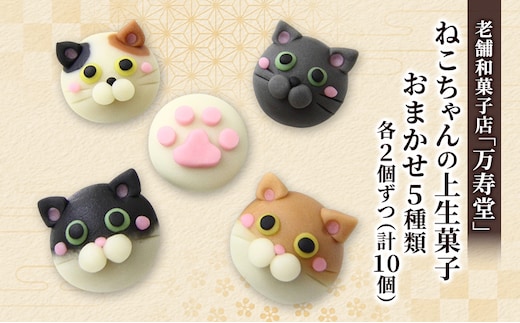 創業明治44年［菓子司 万寿堂］ねこちゃんの上生菓子 おまかせ5種類 各2個ずつ（計10個）秋田 羽後 西馬音内 【菓子 和菓子 生菓子 上生菓子 スイーツ かわいい 高級 老舗 お取り寄せ ギフト】