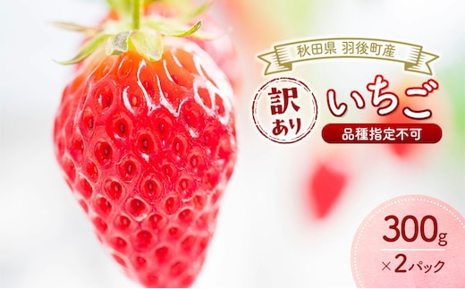 秋田県 羽後町産 訳あり いちご 品種指定不可 300g×2パック [ いちご 苺 イチゴ フルーツ 果物 ]