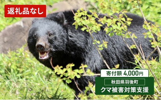 【返礼品なし】クマ被害対策支援（秋田県羽後町）4,000円 応援 支援 寄附のみ【羽後町ふるさと納税】