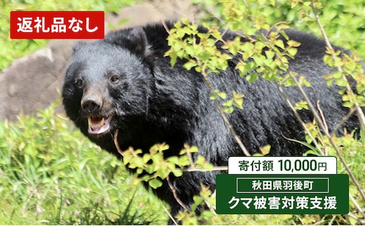 【返礼品なし】クマ被害対策支援（秋田県羽後町）10,000円 応援 支援 寄附のみ【羽後町ふるさと納税】