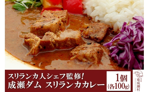 成瀬ダム スリランカカレー 100g×1個 ゆうパケット