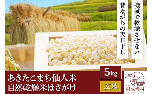 令和5年産 あきたこまち「仙人米」玄米 5kg 自然乾燥米 はさがけ 秋田