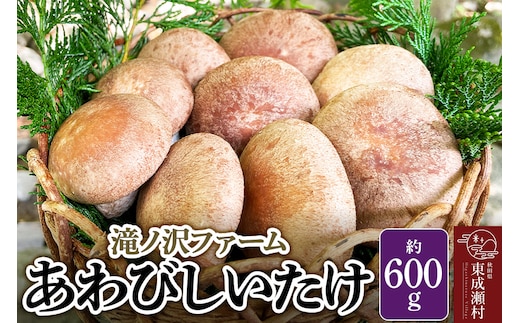 椎茸 あわびしいたけ 約600g 滝ノ沢ファーム 菌床 シイタケ きのこ 食べ応え 肉厚 茸 秋田県 国産 大ぶり 高品質