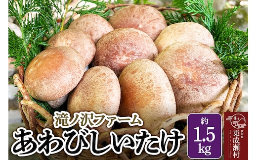 椎茸 あわびしいたけ 約1.5kg 滝ノ沢ファーム 菌床 シイタケ きのこ 食べ応え 肉厚 茸 秋田県 国産 大ぶり 高品質