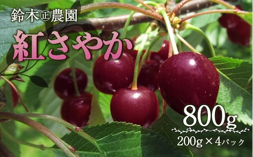 【令和8年産先行予約】鶴岡産 紅さやか M~Lサイズ混合 バラ詰め 800g (200g×4P) 鈴木㊣農園