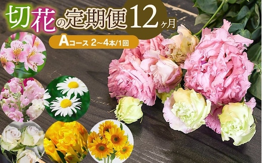 鶴岡産 切花の定期便12ヶ月 Aコース 花蔵（HANAZO） K-722
