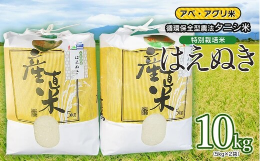 【令和7年産】【新米】特別栽培米 はえぬき（タニシ米）精米10kg（5kg×2袋） 山形県鶴岡産 アベ・アグリ米