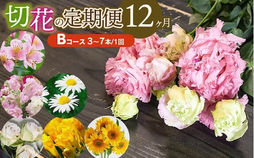 鶴岡産 切花の定期便12ヶ月 Bコース 花蔵（HANAZO） K-733