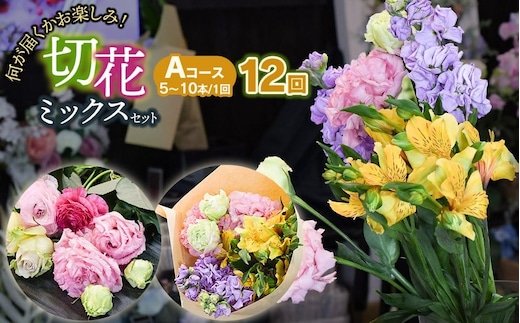 何が届くかお楽しみ★【12ヶ月定期便】鶴岡産切花ミックスセットAコース 12回 花蔵（HANAZO） K-733