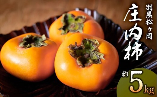 【令和8年産先行予約】羽黒松ヶ岡 庄内柿 約5kg 丸果庄内青果