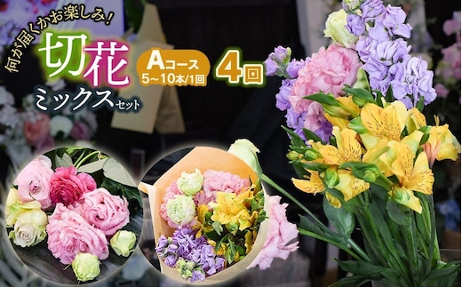 何が届くかお楽しみ★【4ヶ月定期便】鶴岡産 切花ミックスセット Aコース4回 花蔵（HANAZO） K-733