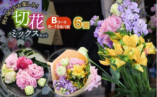 何が届くかお楽しみ★【6ヶ月定期便】鶴岡産切花ミックスセット Bコース6回 花蔵（HANAZO） K-756