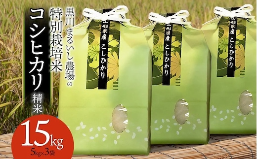 【令和7年産】 黒川まるいし農場の特別栽培米 コシヒカリ 精米 15kg(5kg×3袋) 山形県鶴岡市産 K-7129