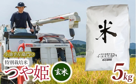 数量限定 【令和7年産】【新米】 山形県庄内産 小池半左衛門のお米 特別栽培米 つや姫 玄米 5kg (5kg×1袋) 