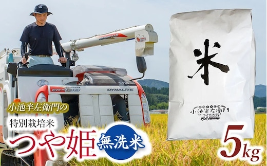 数量限定 【令和7年産】【新米】 山形県庄内産 小池半左衛門のお米 特別栽培米 つや姫 無洗米 5kg (5kg×1袋)