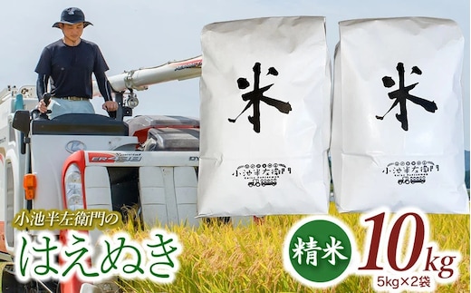 数量限定 【令和7年産】【新米】 山形県庄内産 小池半左衛門のお米 はえぬき 精米 10kg (5kg×2袋) 