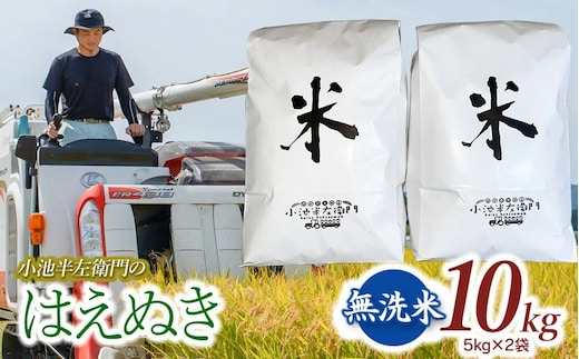 数量限定 【令和7年産】【新米】 山形県庄内産 小池半左衛門のお米 はえぬき 無洗米 10kg (5kg×2袋)