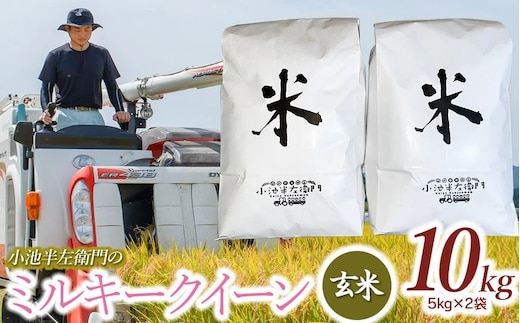 数量限定 【令和7年産】【新米】 山形県庄内産 小池半左衛門のお米 ミルキークイーン 玄米 10kg (5kg×2袋)