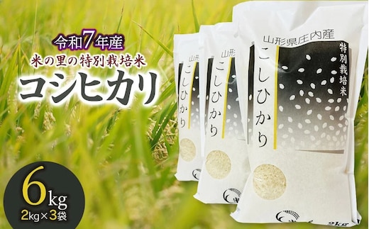 【令和7年産】【新米】米の里の特別栽培米 コシヒカリ 精米 6kg(2kg×3袋) 山形県鶴岡市産 K-763