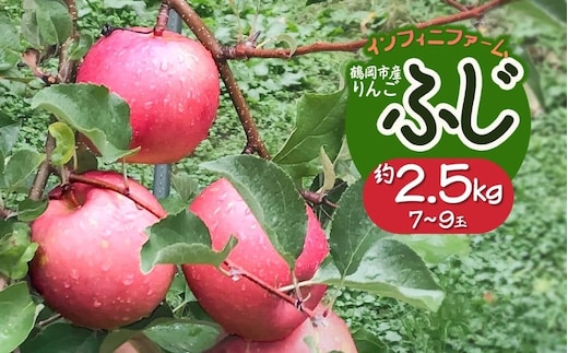 【令和8年産先行予約】鶴岡市産りんご ふじ 約2.5kg（7～9玉） インフィニファーム K-828