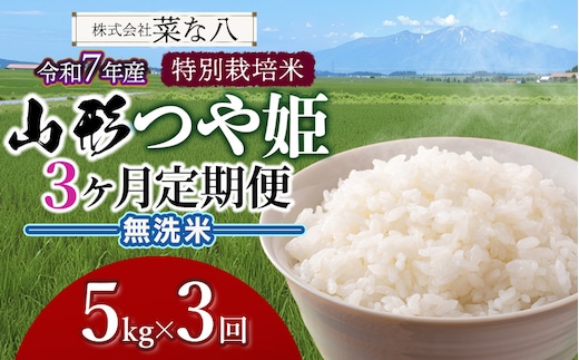【令和7年産】【定期便】 特別栽培米 山形つや姫 無洗米 5kg(5kg×1袋)×3ヶ月 山形県鶴岡市産 株式会社菜な八（鶴岡ファーマーズ）