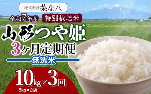 【令和7年産】【定期便】 特別栽培米 山形つや姫 無洗米 10kg(5kg×2袋)×3ヶ月 山形県鶴岡市産 株式会社菜な八（鶴岡ファーマーズ）