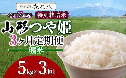 【令和7年産】【定期便】 特別栽培米 山形つや姫 精米 5kg(5kg×1袋)×3ヶ月 山形県鶴岡市産 株式会社菜な八（鶴岡ファーマーズ）