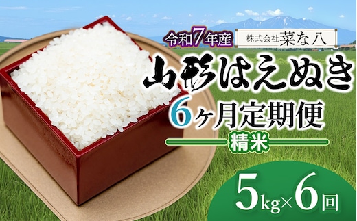 【令和7年産】【定期便】 山形 はえぬき 精米 5kg(5kg×1袋)×6ヶ月 山形県鶴岡市産 株式会社菜な八（鶴岡ファーマーズ）