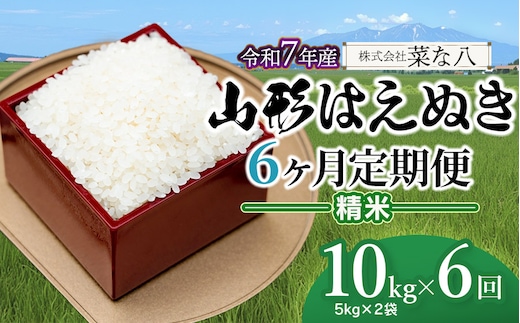 【令和7年産】【定期便】 山形 はえぬき 精米 10kg(5kg×2袋)×6ヶ月 山形県鶴岡市産 株式会社菜な八（鶴岡ファーマーズ）