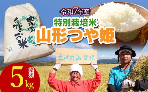 【令和7年産】特別栽培米つや姫 精米 5kg 山形県鶴岡市 庄内丸山農場 | つやひめ 5キロ 米どころ 庄内米 ブランド米 米 コメ こめ 精米 ご飯 ごはん 美味しい お取り寄せ 農家直送 東北 山形 鶴岡 国産 返礼品