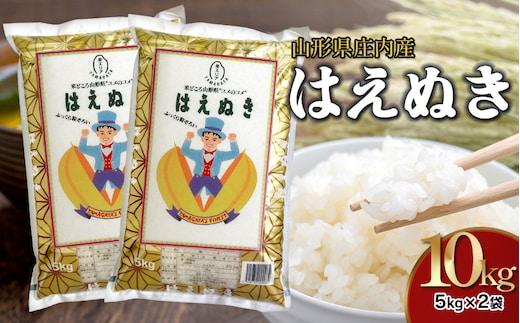 新米 山形県庄内産 はえぬき 白米20kg Gセレクション