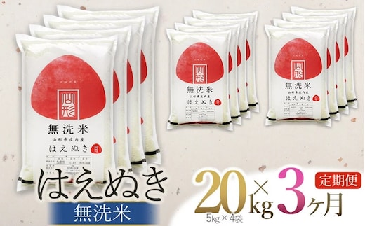 【令和7年産】【3ヶ月定期便】【新米】 はえぬき 無洗米 20kg (5kg×4袋) × 3回 (計60kg) 山形県庄内産 有限会社 阿部ベイコク