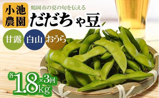 【令和8年産先行予約】【3回定期便】【鶴岡の夏の旬を伝える】 小池農園のだだちゃ豆 【甘露・白山・おうら】 1.8Kg（600g×3袋）K-832