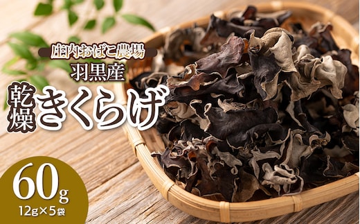 羽黒産 乾燥キクラゲ 60g(12g×5) 山形県鶴岡市 農事組合法人 庄内おばこ農場 K-710