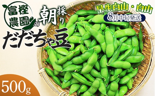 【令和8年産先行予約】 富樫農園の朝採りだだちゃ豆【8月中旬発送】500g 早生白山・白山 K-812