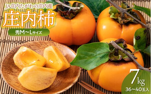 【令和8年産先行予約】JA庄内たがわの庄内柿 約7kg 秀品 M～Lサイズ （36～40玉） K-835
