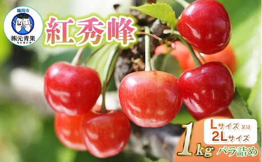 【令和8年産先行予約】 さくらんぼ 紅秀峰 (L又は2Lサイズ) 1kg バラ詰め 山形県鶴岡市産 株式会社 元青果