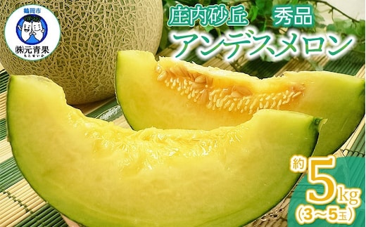 【令和8年産先行予約】 アンデスメロン 秀品 約5kg (3～5玉) 山形県鶴岡市産 株式会社 元青果