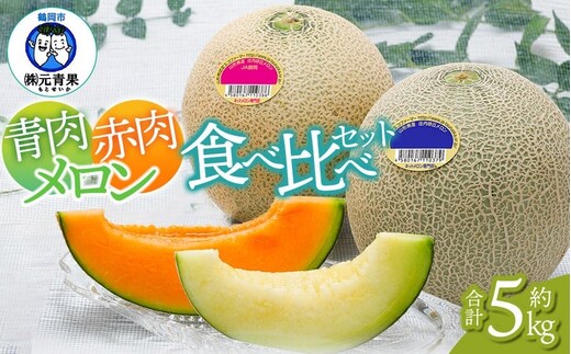 【令和8年産先行予約】 庄内砂丘青肉・赤肉メロン食べ比べ 各2玉 (計4玉) 約5kg 山形県鶴岡市産 株式会社 元青果