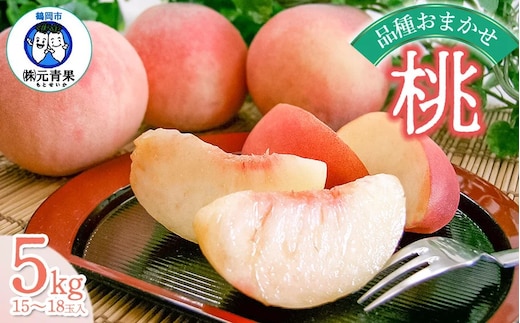 【令和8年産先行予約】 桃 品種おまかせ 5kg(15玉～18玉) 山形県鶴岡市産 株式会社 元青果