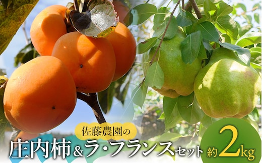 【令和8年産先行予約】庄内柿＆ラ・フランス セット 約2kg 山形県鶴岡市産 佐藤農園
