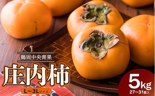 【令和8年産先行予約】 庄内柿（L～3Lサイズ） 5kg (27～31個) 山形県鶴岡市 鶴岡中央青果 | 柿 かき カキ 5キロ 果物 くだもの フルーツ 産地直送 国産 人気 甘い 美味しい お取り寄せ 秋 旬 味覚人気 大容量 期間限定 2026年産 返礼品