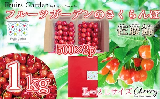 【令和8年産】フルーツガーデンのさくらんぼ 〈佐藤錦〉 バラ詰め L～2Lサイズ 1kg（500g×2）山形県鶴岡市 | サクランボ チェリー 佐藤錦 果物 くだもの フルーツ 1キロ 甘い 完熟 旬 産地直送 果汁 人気 美味しい 2026年産 お取り寄せ 庄内地方 東北 返礼品