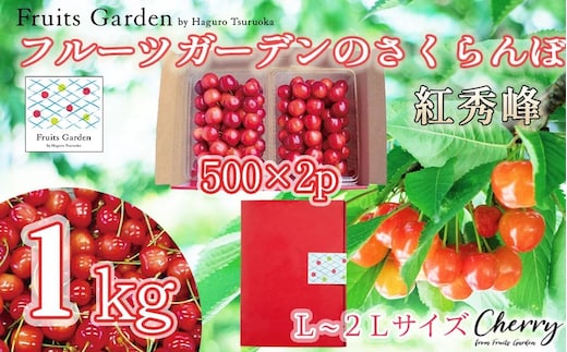 【令和8年産】フルーツガーデンのさくらんぼ 〈紅秀峰〉 バラ詰め L～2Lサイズ 1kg（500g×2） 山形県鶴岡市 | サクランボ チェリー 紅秀峰 果物 くだもの フルーツ 1キロ 甘い 完熟 旬 産地直送 果汁 人気 美味しい 2026年産 お取り寄せ 庄内地方 東北 返礼品 
