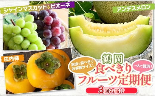 【令和8年産先行予約】鶴岡食べきりフルーツ定期便（3回お届け） 庄内砂丘メロン・シャインマスカット＆ピオーネ・庄内柿 山形県 鶴岡市