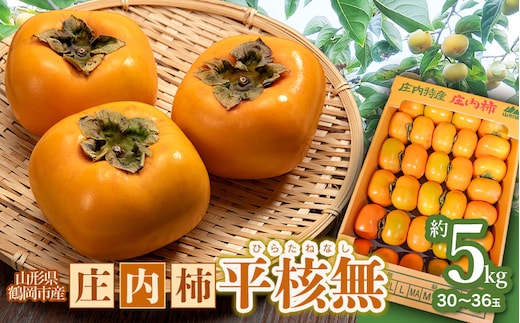 【令和8年産先行予約】 庄内柿 平核無 5kg（30～36玉） 山形県鶴岡市 わたなべフルーツファクトリー | 柿 カキ 平核無柿 ひらたねなしかき 種無し柿 旬 期間限定 産地直送 果物 フルーツ 甘い おいしい おすすめ お取り寄せ 返礼品