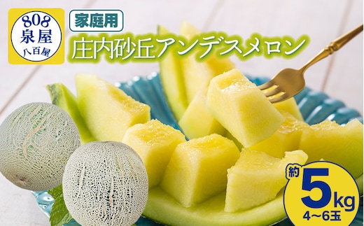 【令和8年産先行予約】家庭用 泉屋商店の庄内砂丘アンデスメロン 約5kg（4～6玉入） K-830