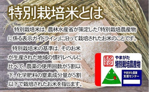 令和6年産先行予約】 特別栽培米つや姫 5kg (5kg×1袋) 山形県鶴岡産