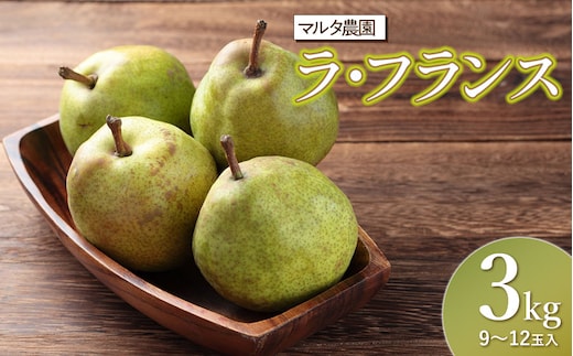 【令和7年産】ラ・フランス 3kg (9～12玉) マルタ農園