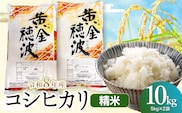 【令和8年産 新米】コシヒカリ 精米10kg(5kg×2袋) 山形県鶴岡市産 らん工房 | 10キロ 食品 ご飯 ごはん お取り寄せ 農家直送 お弁当 おにぎり 東北 国産